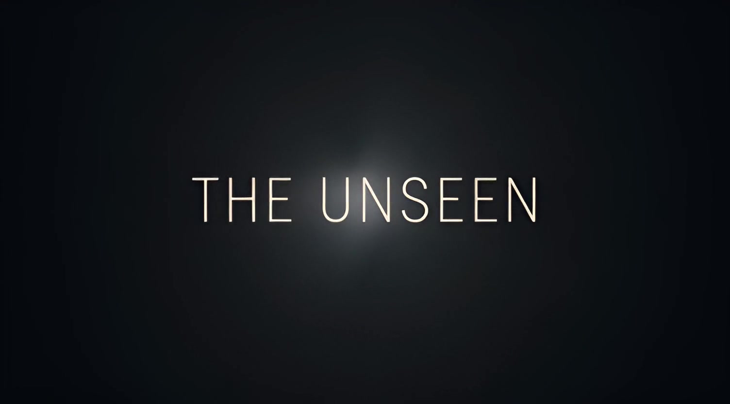 THE UNSEEN